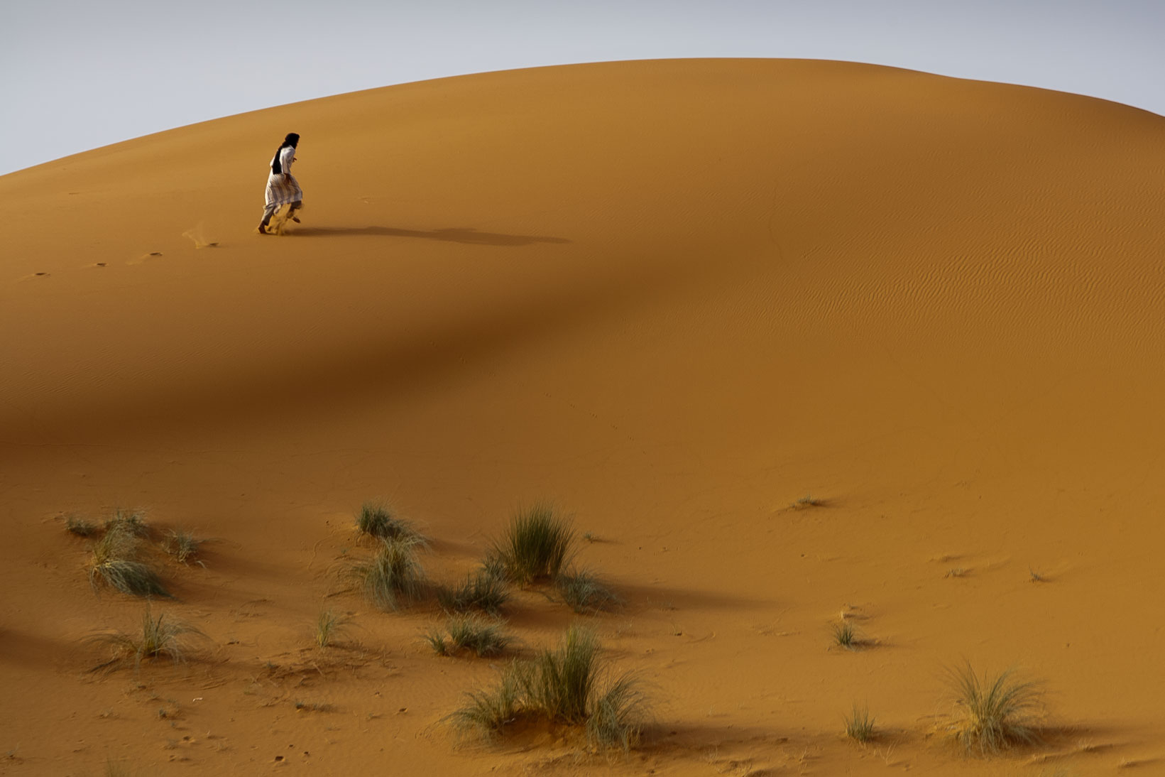 Camel Driver - Sahara Desert